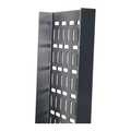 Kabel management voor 42U kasten, (BxDxH) 25x3x186.5cm, set 2 stuks