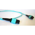 MTP Trunk cable F-F OM4 12Fibers Type A 3m
