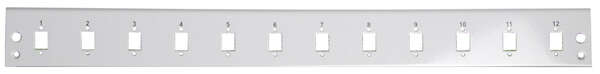 Naar omschrijving van 53024-1 - Frontplaat 12-v duplex LC Grijs