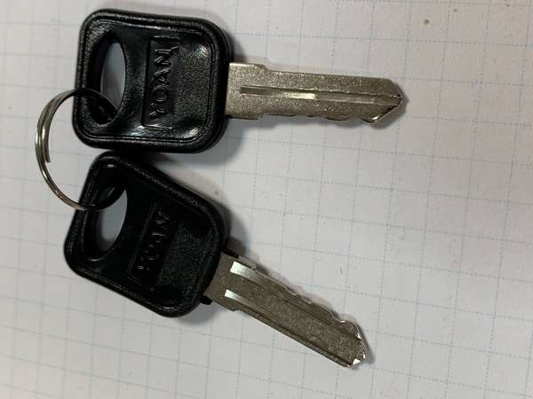 Naar omschrijving van AST19-SLEUTEL-V - Standaard sleutels voor de voordeur van AST19- server en wandkasten